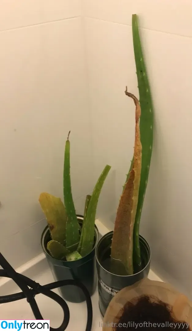 lilyofthevalleyyyy nude photo #0010 (lilyofthevalleyyyy)
