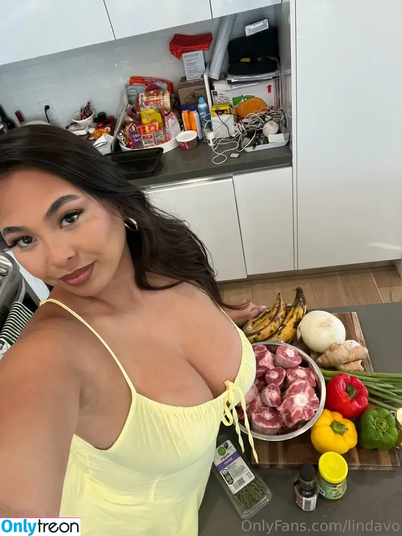 lindavo nude photo #0139 (itslindavo)