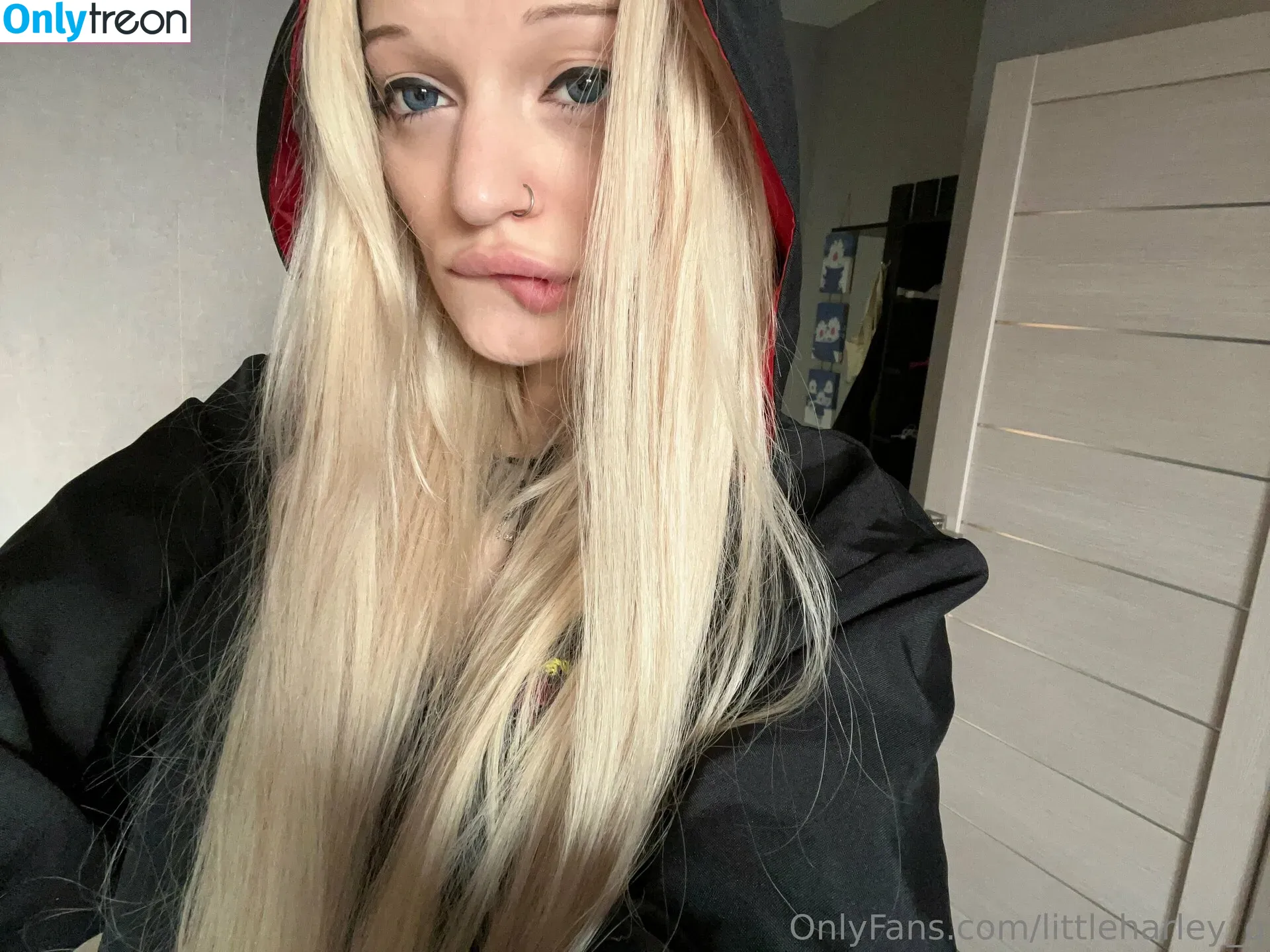 littleharley_q голая photo #0211 (little_harley_q)