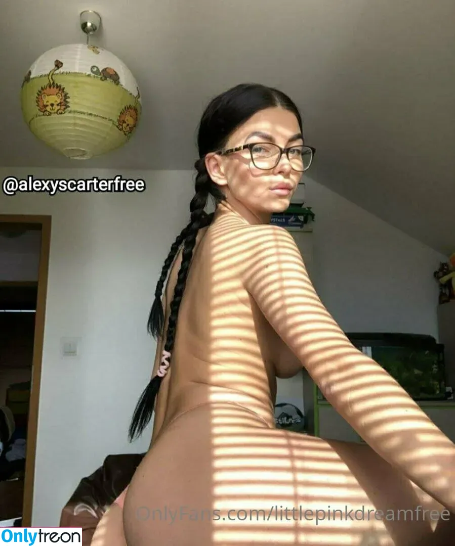 littlepinkdreamfree nude photo #0090 (lilpink3y)
