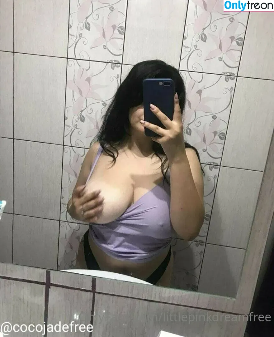 littlepinkdreamfree nude photo #0155 (lilpink3y)