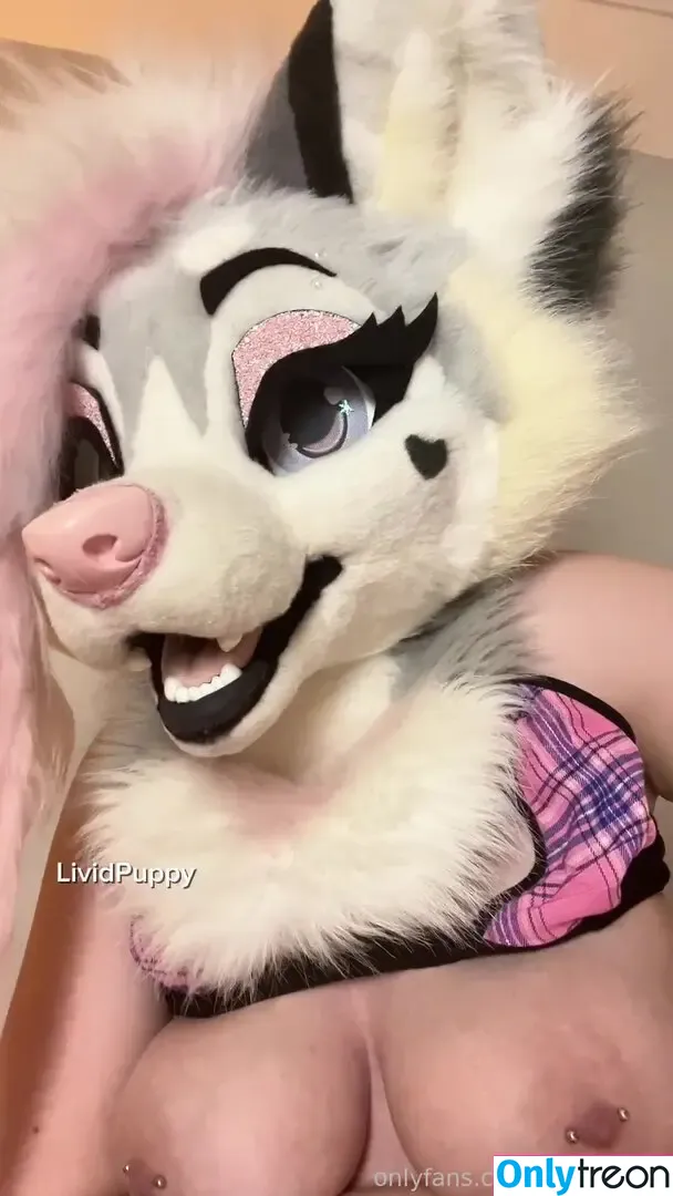 LividPuppy голая photo #0276 (LividPuppy)