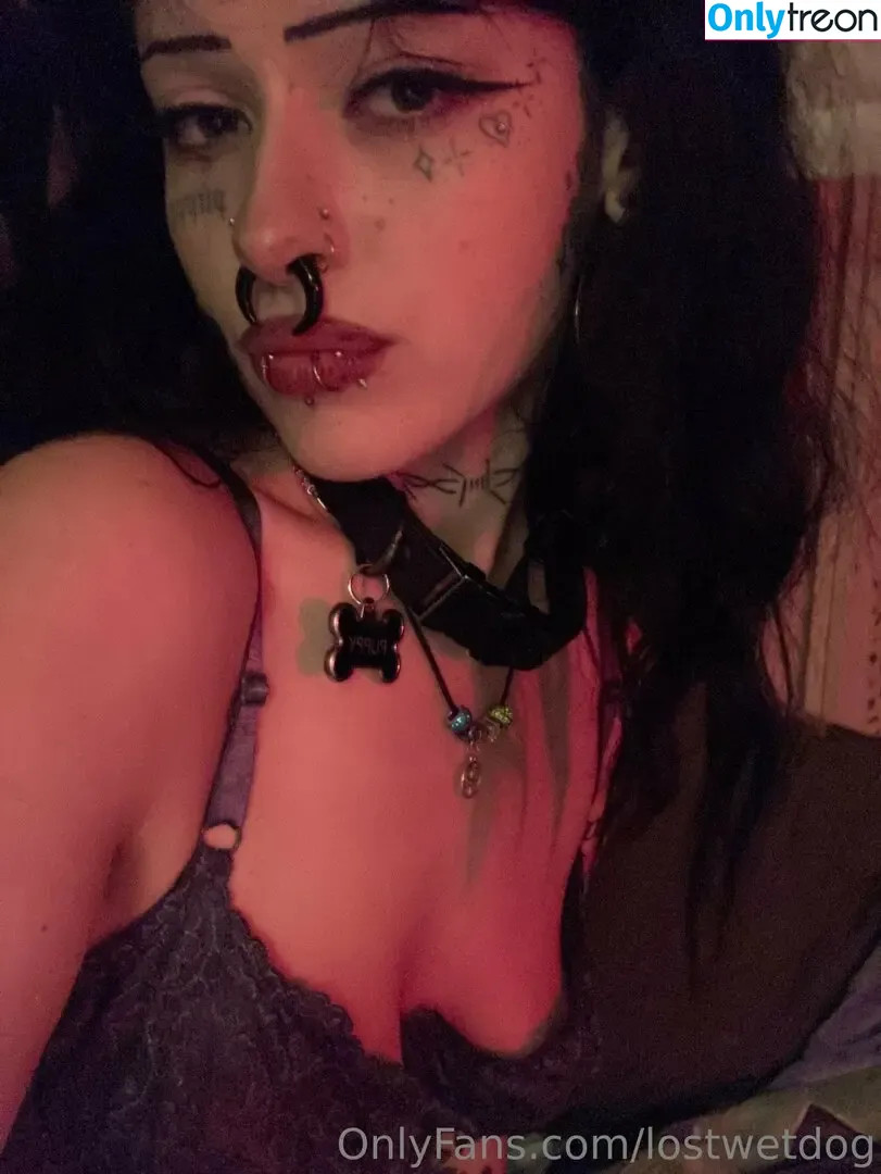 Lostwetdog nude photo #0120 (Kennelsent)