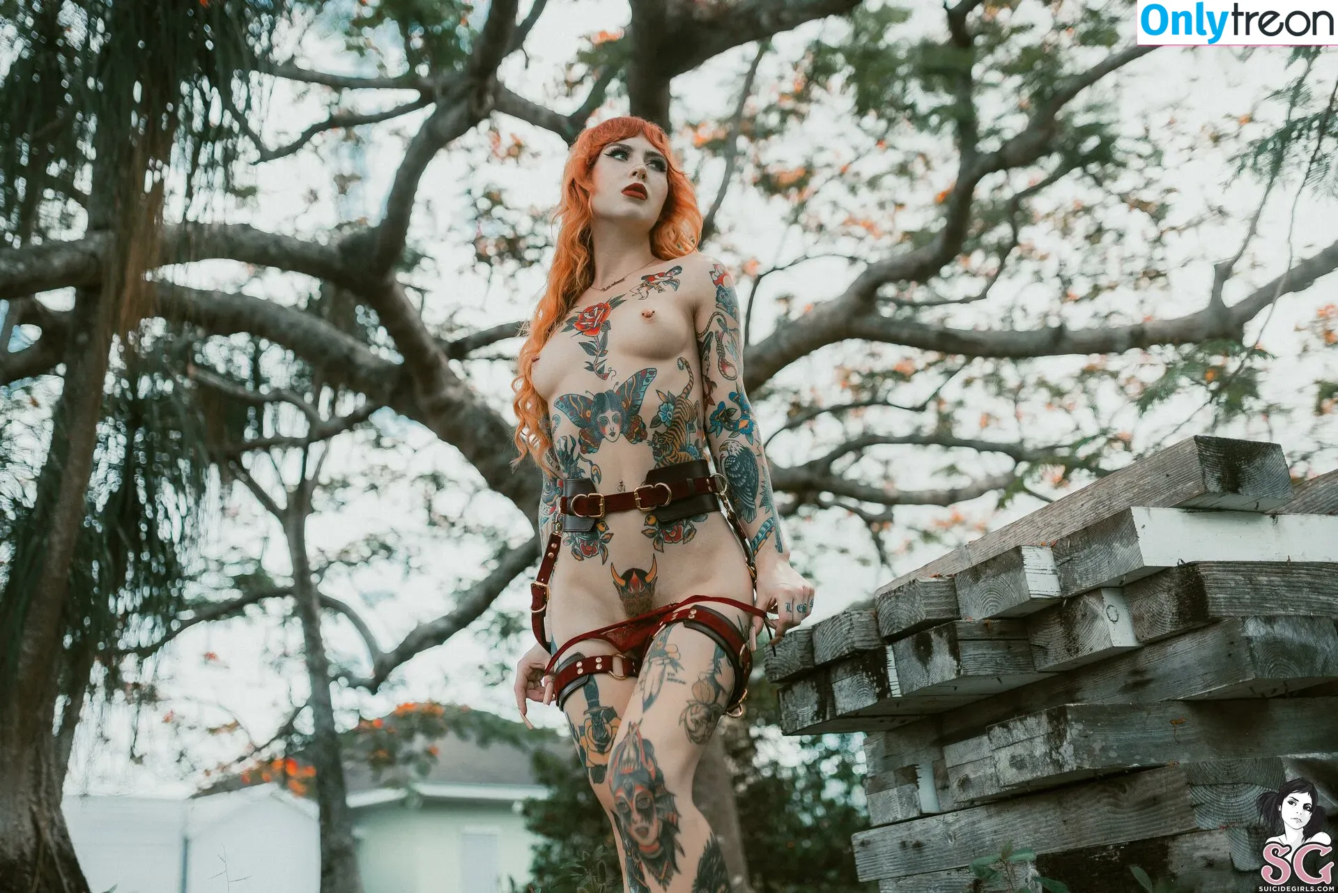 Loveless nude photo #0045 (lovelesssuicide)