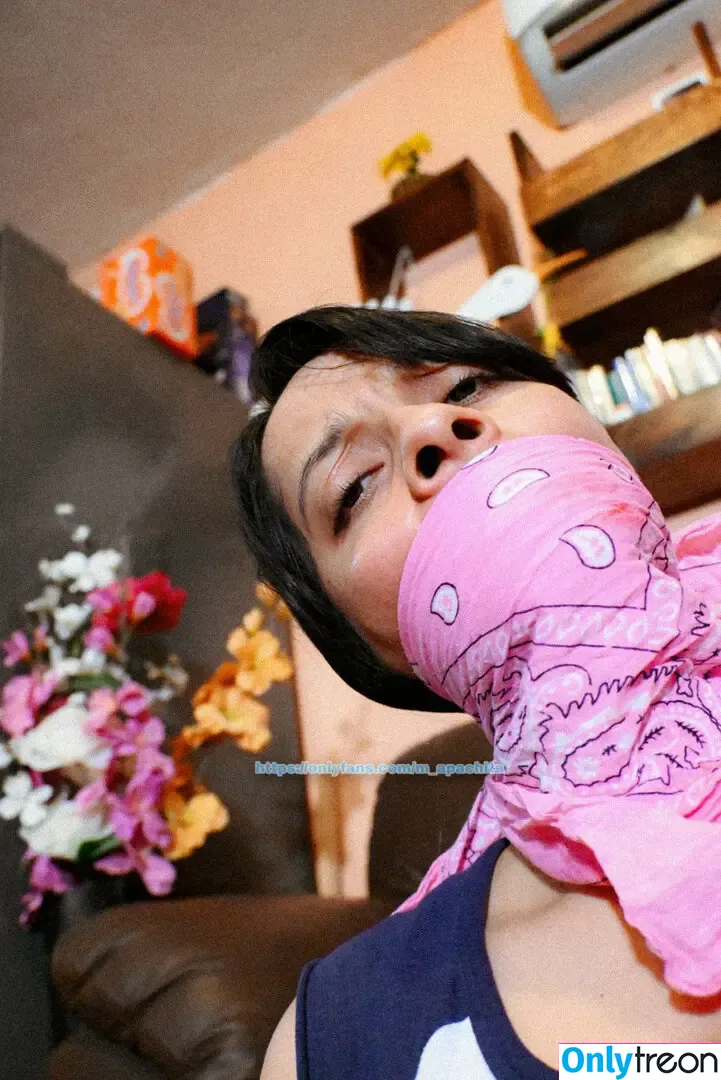m_apachita nude photo #0187 (mapachula__)