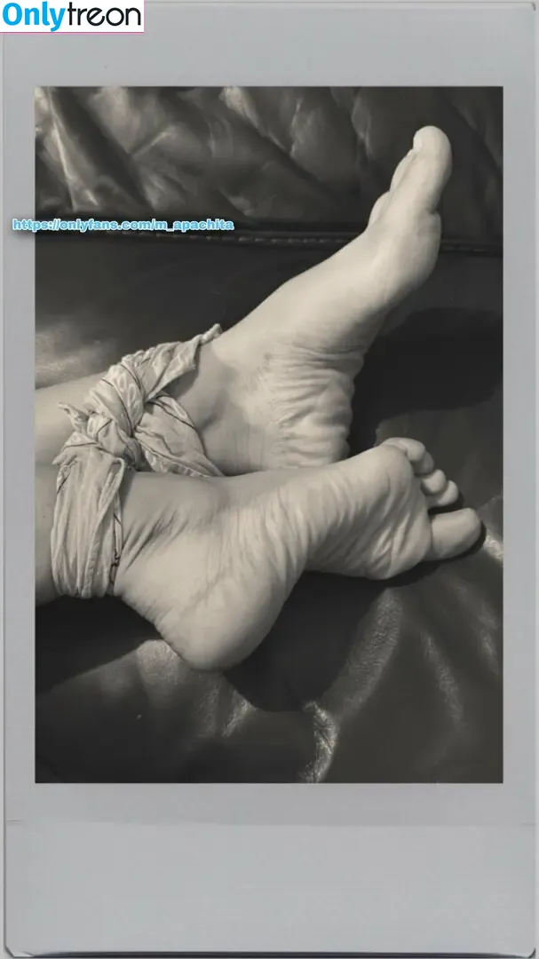 m_apachita nude photo #0199 (mapachula__)