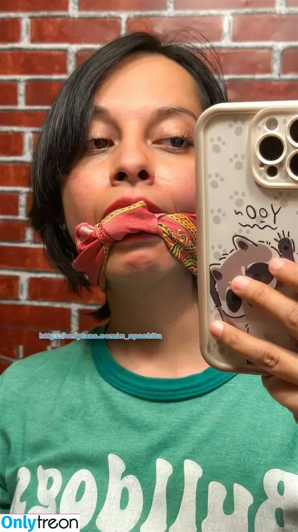 m_apachita nude photo #0226 (mapachula__)