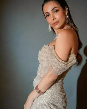 Malaika Arora / malaikaaroraofficial nude photo #0054