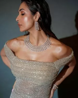 Malaika Arora / malaikaaroraofficial nude photo #0056