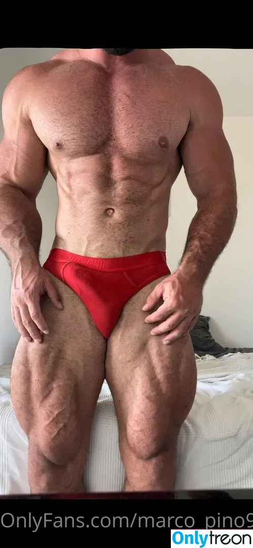 marco_pino91 nude photo #0003 (marco_pino91)