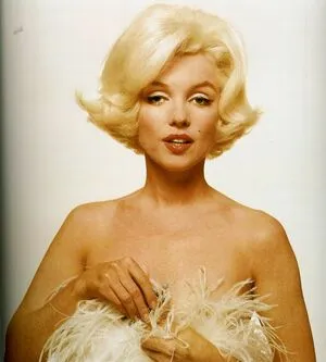 Marilyn Monroe / bustedsugar / marilynmonroe фото голая #0021