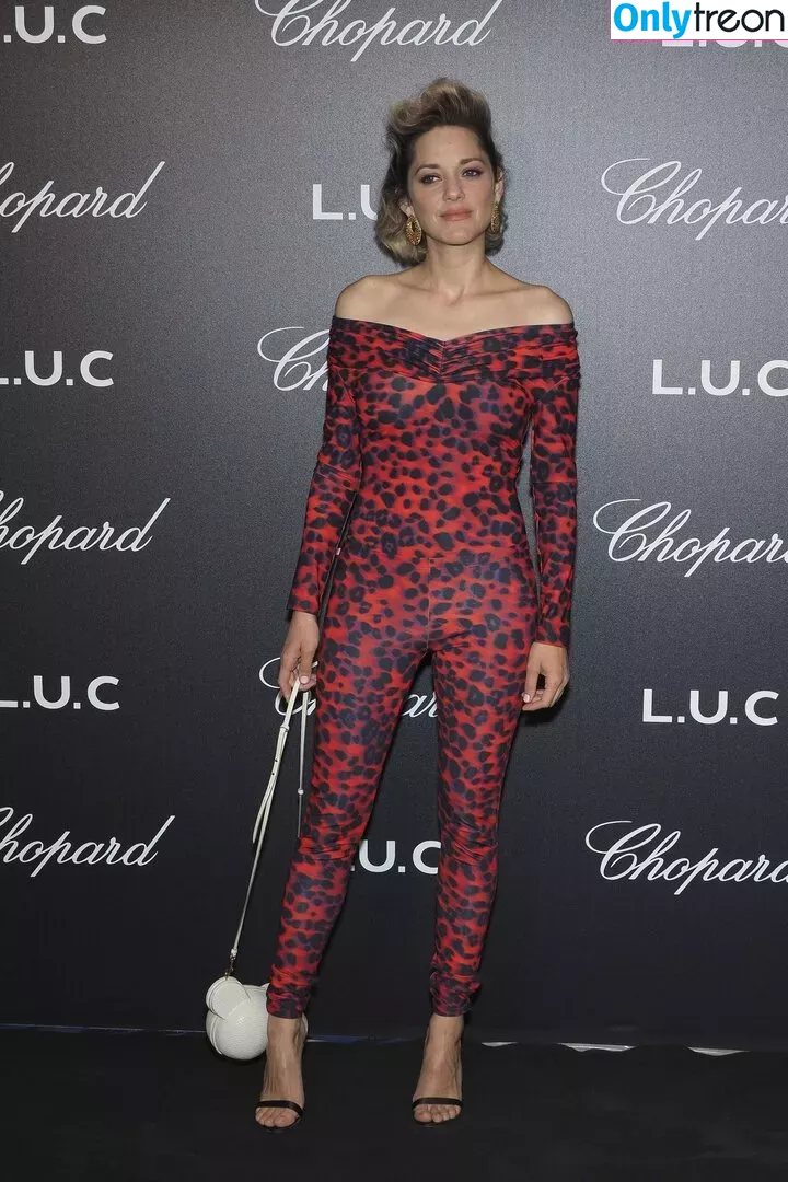 Marion Cotillard голая photo #0087 (marion_cotillar / marioncotillard)