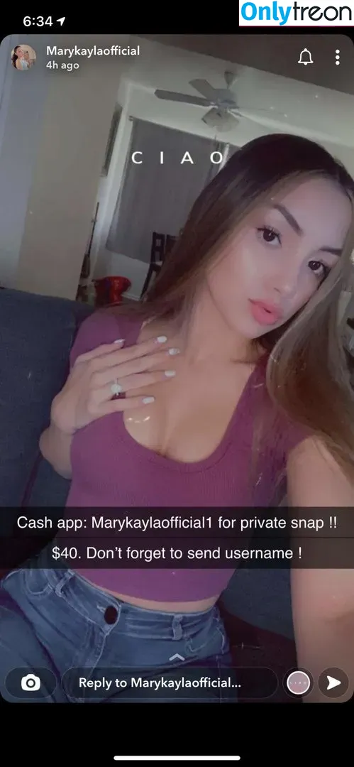 Mary Kaylaficial nude photo #0041 (marykaylaofficial)