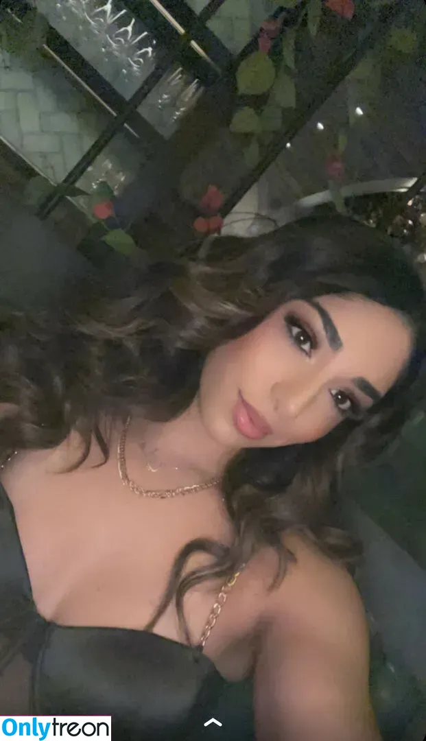 Mary Noura голая photo #0010 (marynouraa / princessjasmine3)