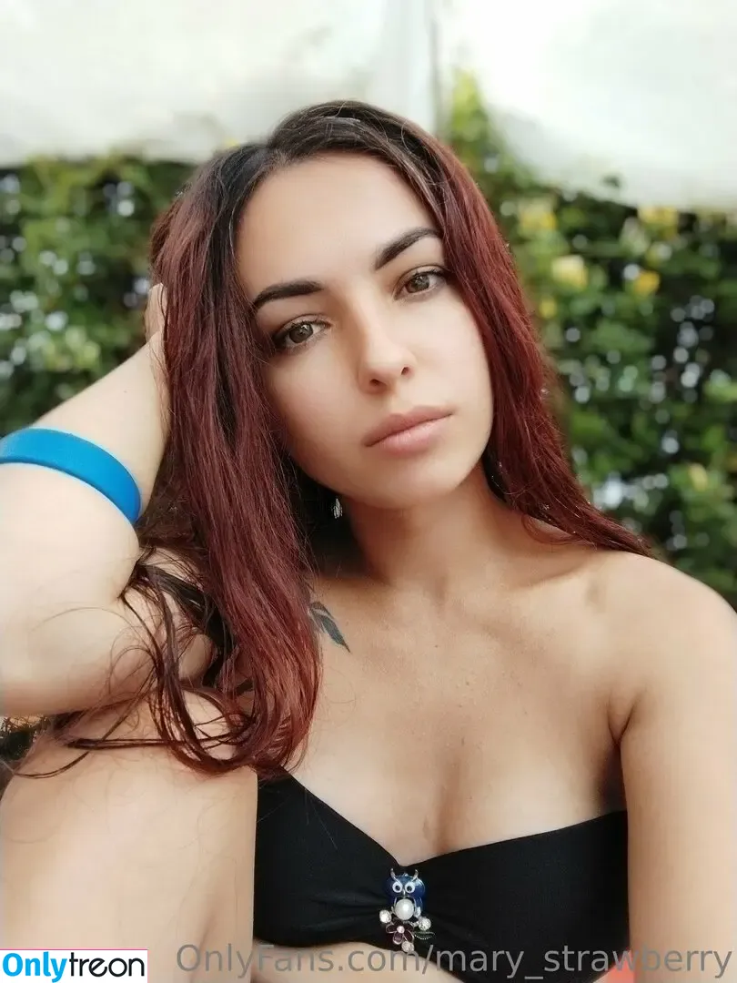 mary_strawberry nude photo #0012 (themarystrawberry)