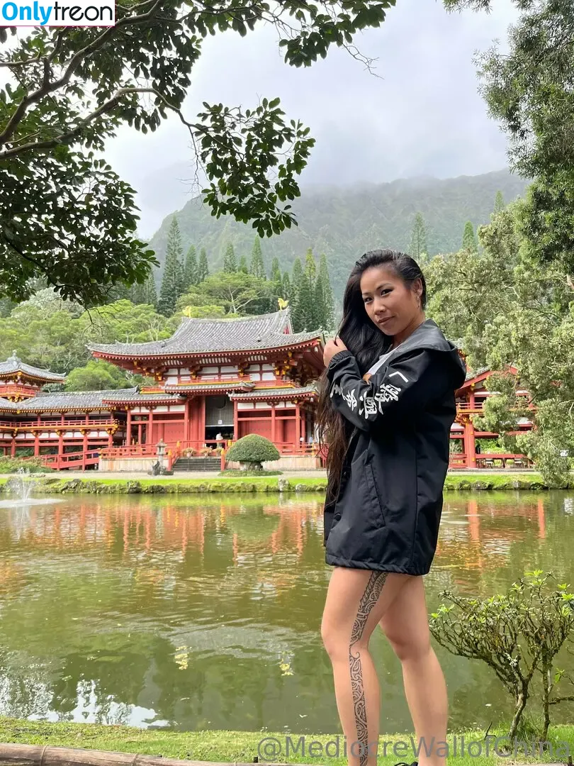 mediocrewallofchina nude photo #0006 (mediocrewallofchina)