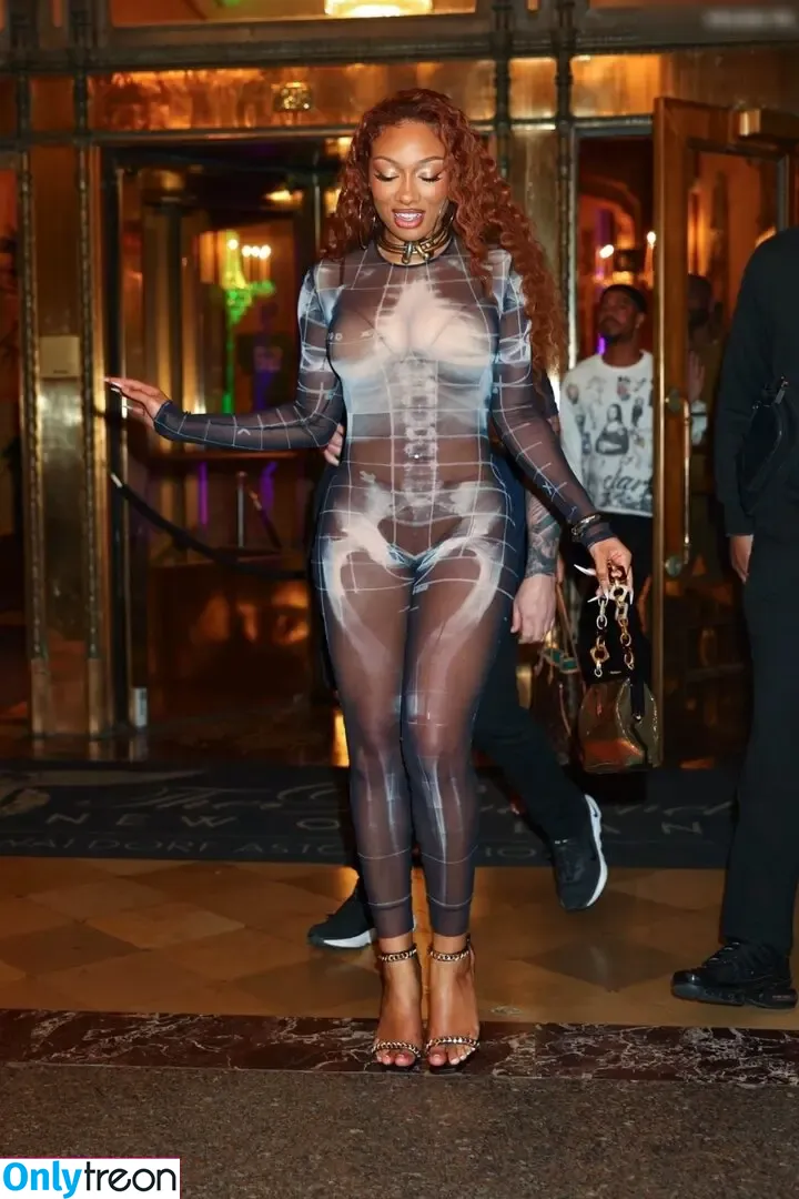 Megan Thee Stallion nude photo #0011 (megan_renee316 / theestallion)