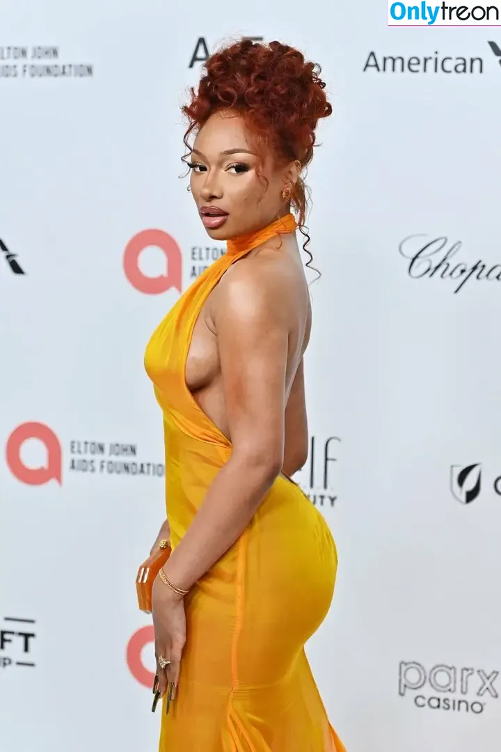 Megan Thee Stallion голая photo #0096 (megan_renee316 / theestallion)