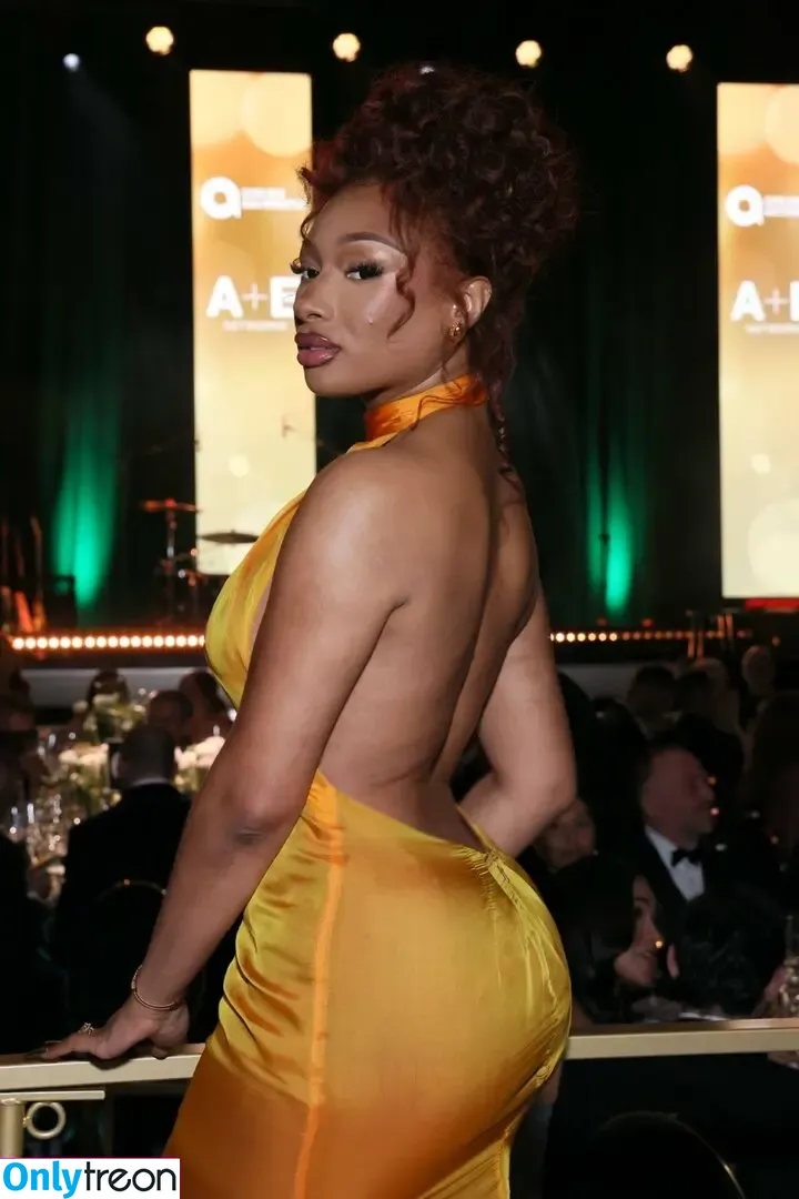 Megan Thee Stallion nude photo #0097 (megan_renee316 / theestallion)