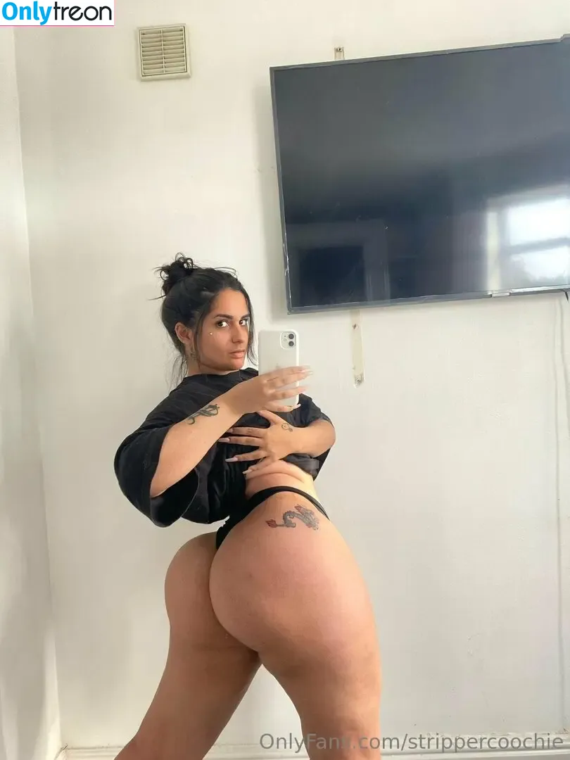 Mel Farahmand nude photo #0073 (strippercoochie / thestripperml)