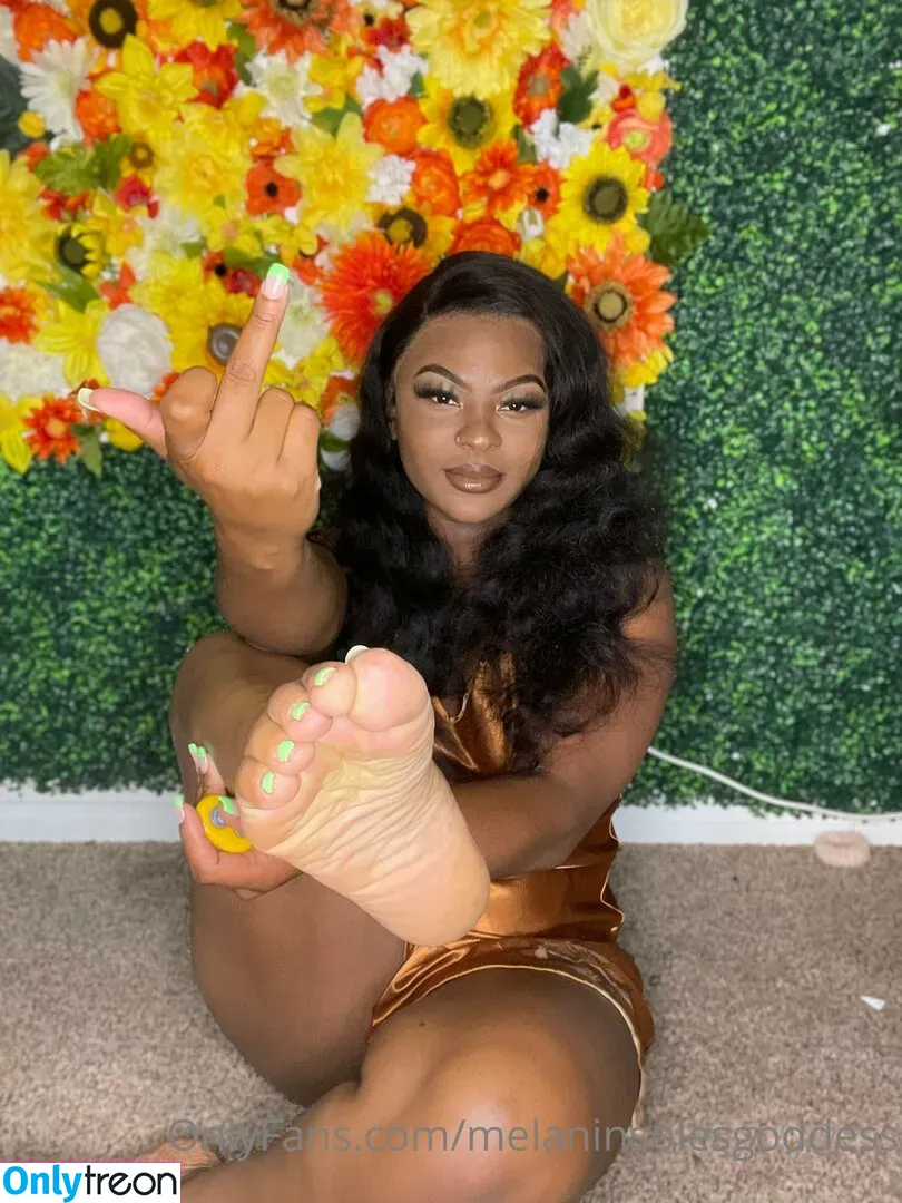 melaninsolesgoddess nude photo #0009 (1yesgoddess)