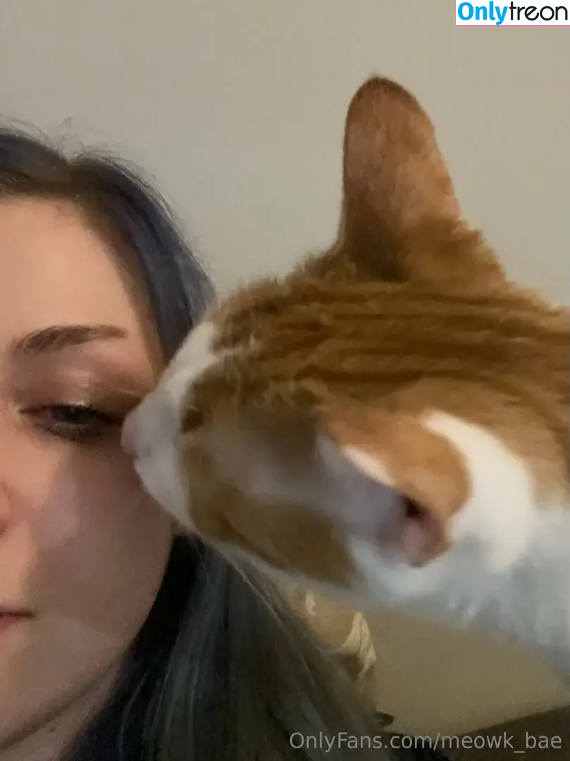 meowk_bae nude photo #0001 (meowk_bae)