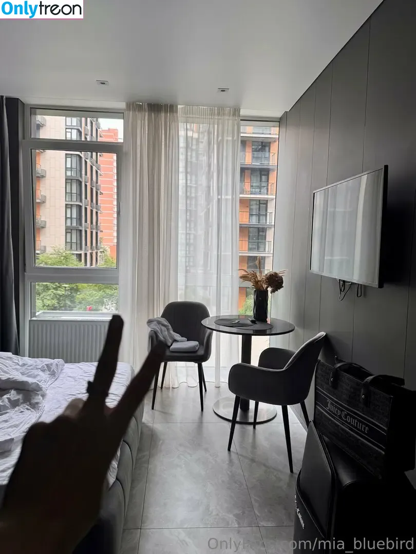 Mia_bluebird nude photo #0319 (clarathestudent / miabluebird)