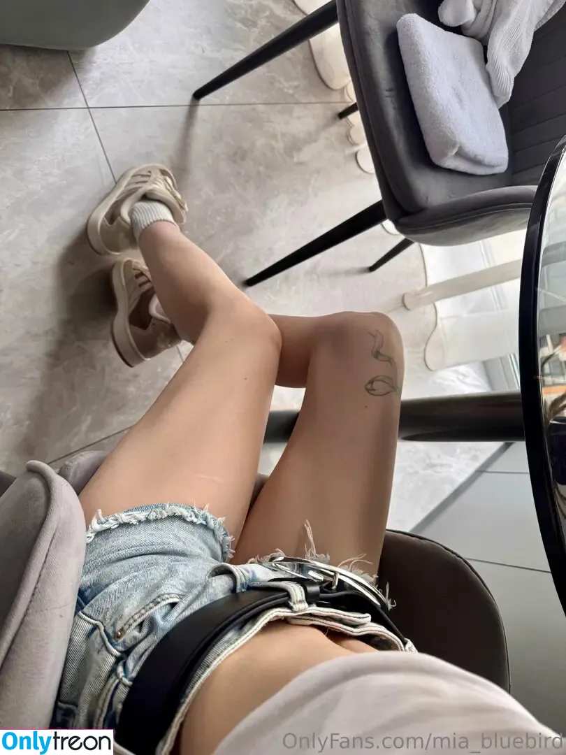 Mia_bluebird nude photo #0323 (clarathestudent / miabluebird)