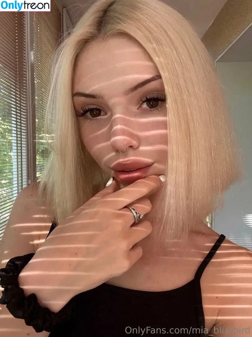 Mia_bluebird nude photo #0336 (clarathestudent / miabluebird)