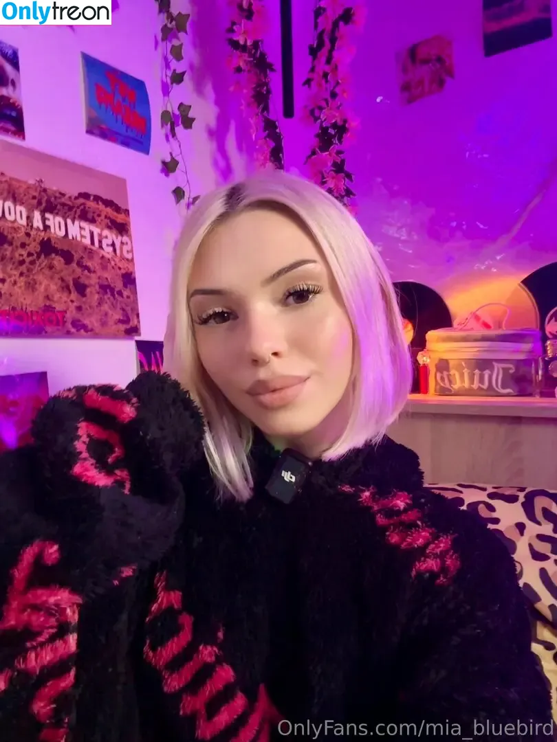 Mia_bluebird nude photo #0342 (clarathestudent / miabluebird)