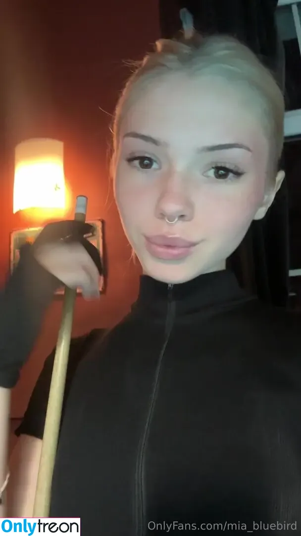 Mia_bluebird nude photo #0350 (clarathestudent / miabluebird)