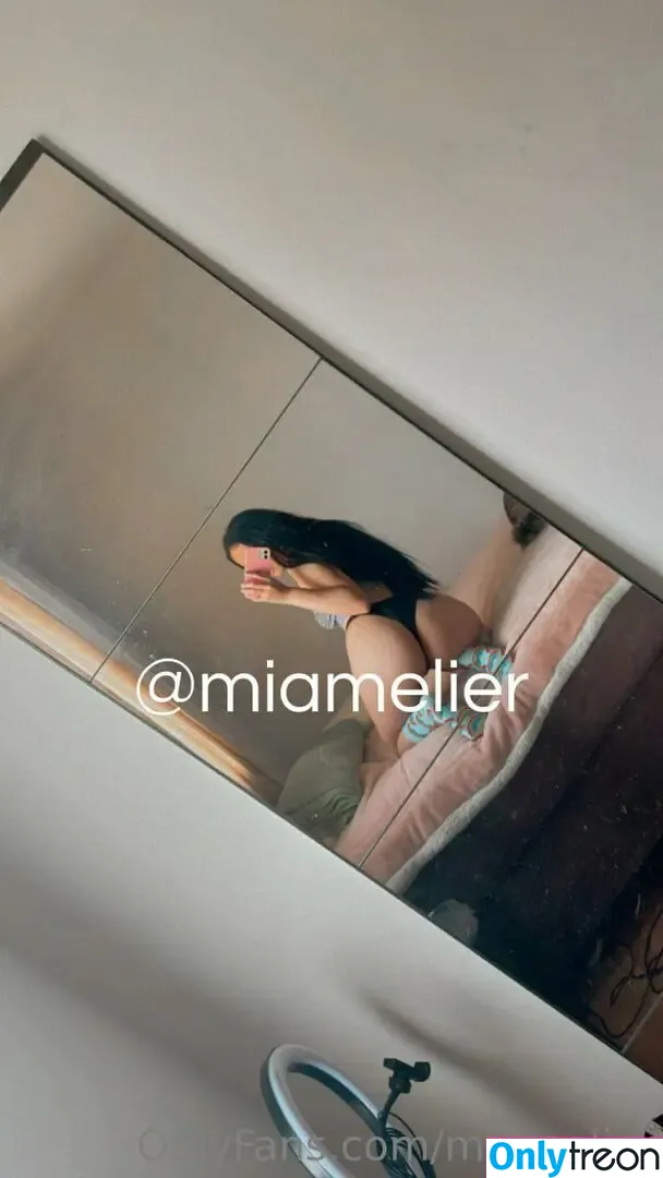 Mia Gabrielle nude photo #0019 (miagabrieelle)