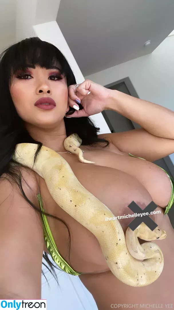 michelletheceo nude photo #0053 (ihrtmichelleyee)