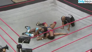 Mickie James / michelejames / themickiejames nude photo #0413