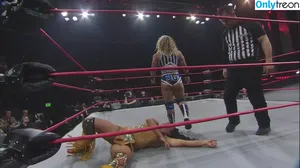Mickie James / michelejames / themickiejames nude photo #0473