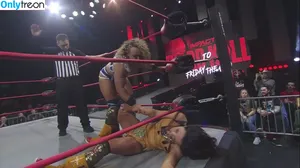 Mickie James / michelejames / themickiejames nude photo #0481