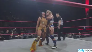 Mickie James / michelejames / themickiejames nude photo #0511