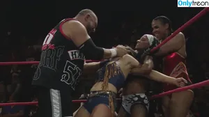 Mickie James / michelejames / themickiejames nude photo #0555