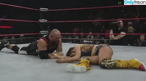 Mickie James / michelejames / themickiejames nude photo #0558