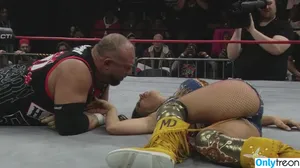 Mickie James / michelejames / themickiejames nude photo #0561