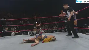 Mickie James / michelejames / themickiejames nude photo #0576