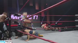Mickie James / michelejames / themickiejames nude photo #0581