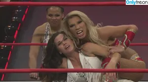 Mickie James / michelejames / themickiejames nude photo #0688