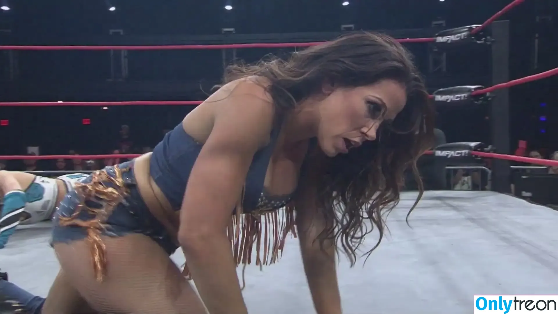 Mickie James nude photo #0311 (michelejames / themickiejames)