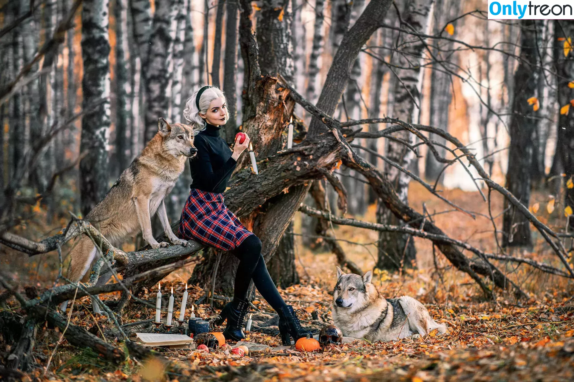 MightyRaccoon голая photo #0299 (Alice Spiegel)
