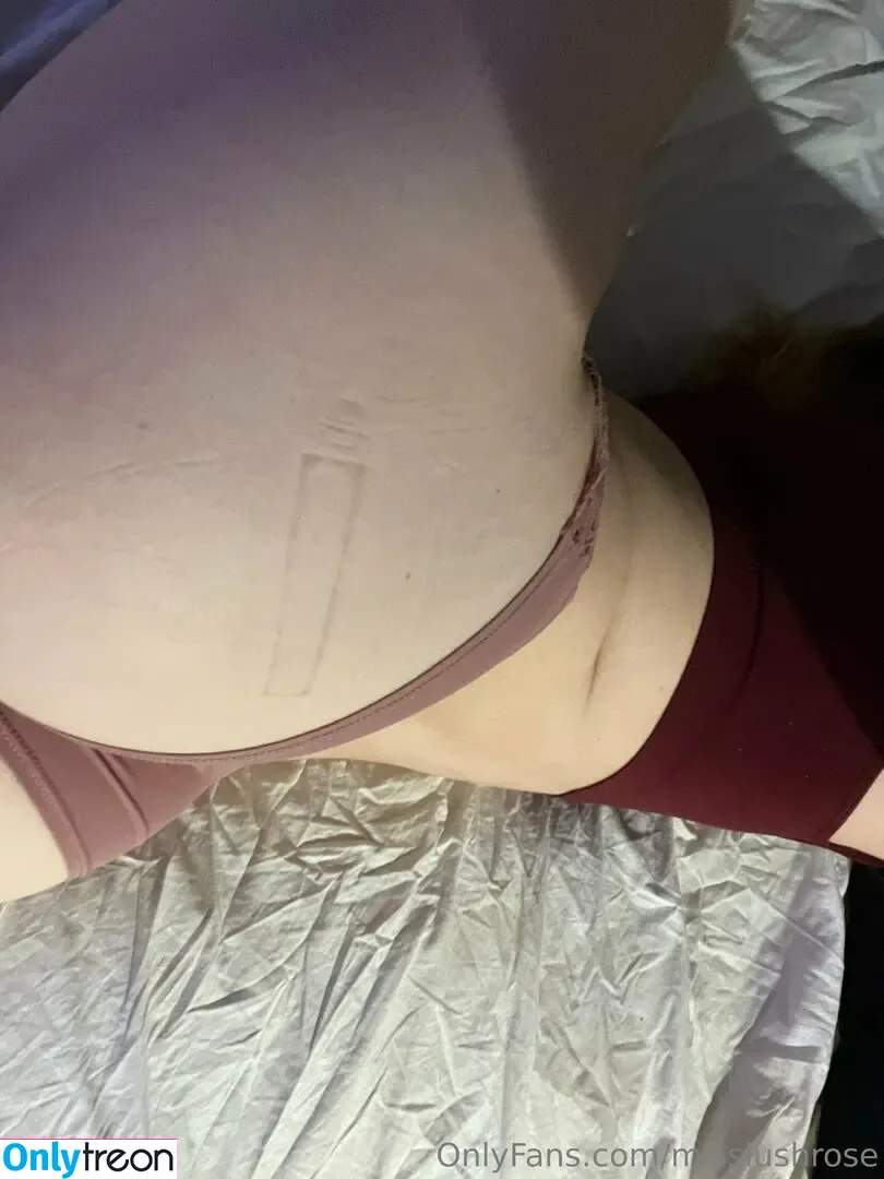 Misslushrose nude photo #0119 (brittney-bush / lilmissross / misslushrose222)