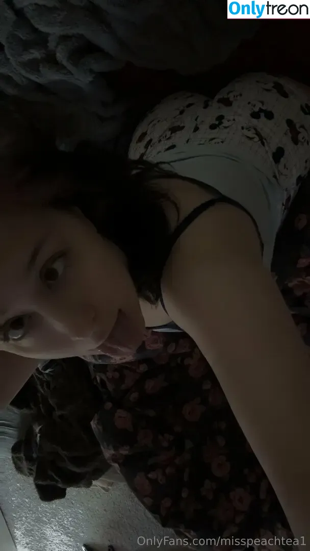 misspeachtea1 голая photo #0274 (Heheleedel / misspeachtea2)