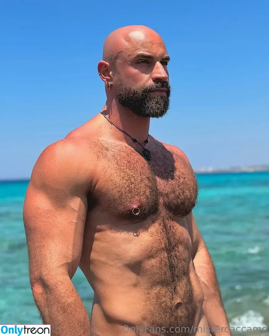 mistercaccamo nude photo #0124 (mistercaccamo)
