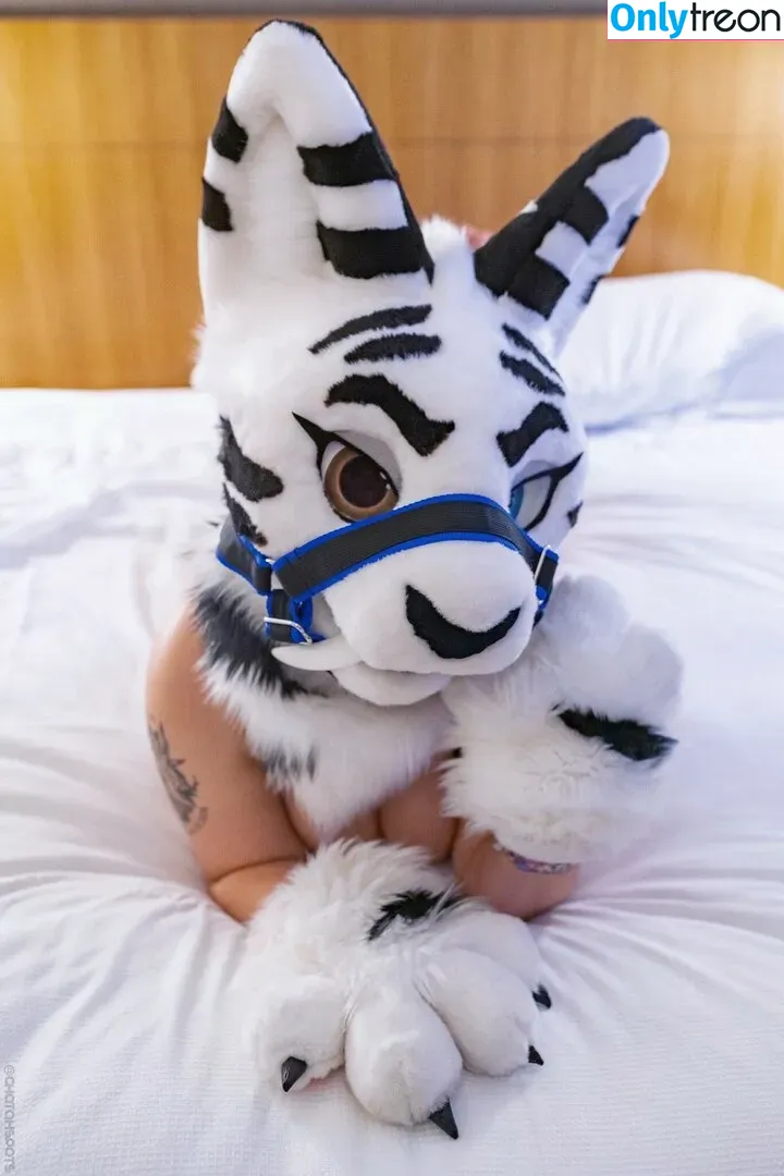 Murrsuit nude photo #0230 (Faunhouse / Softsuit / afterdark_bunny / lotuslafawn / shichimi.togarashi)
