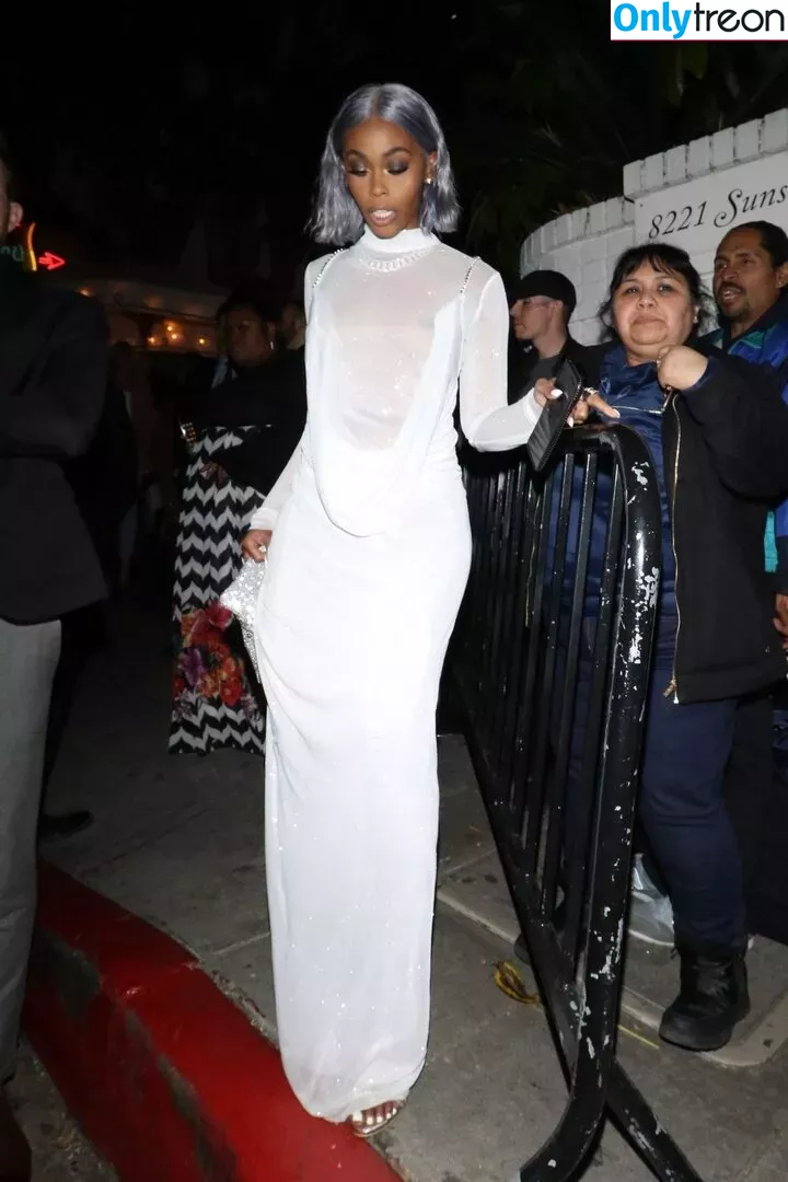 Nafessa Williams nude photo #0090 (deewilliams / nafessawilliams)